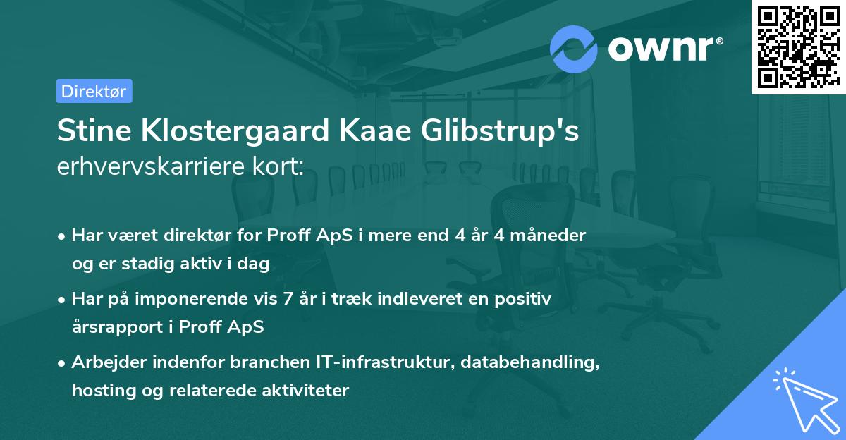 Stine Klostergaard Kaae Glibstrup's erhvervskarriere kort