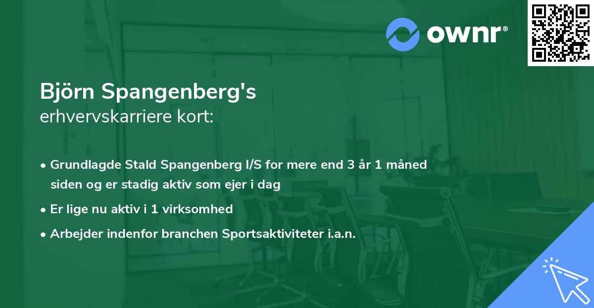 Björn Spangenberg's erhvervskarriere kort