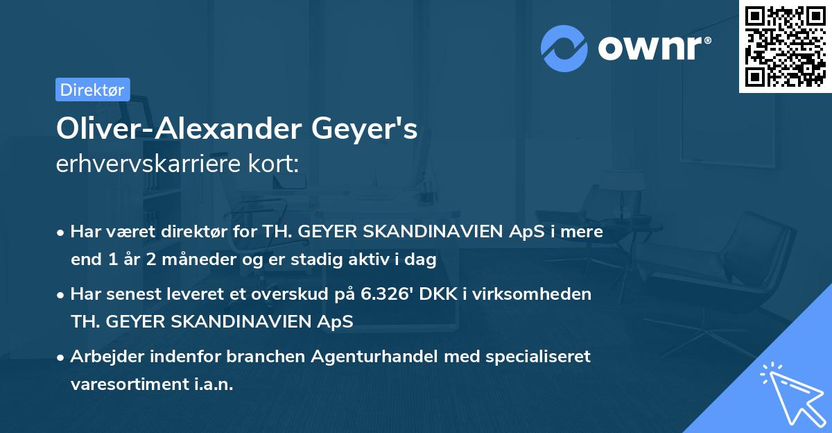 Oliver-Alexander Geyer's erhvervskarriere kort