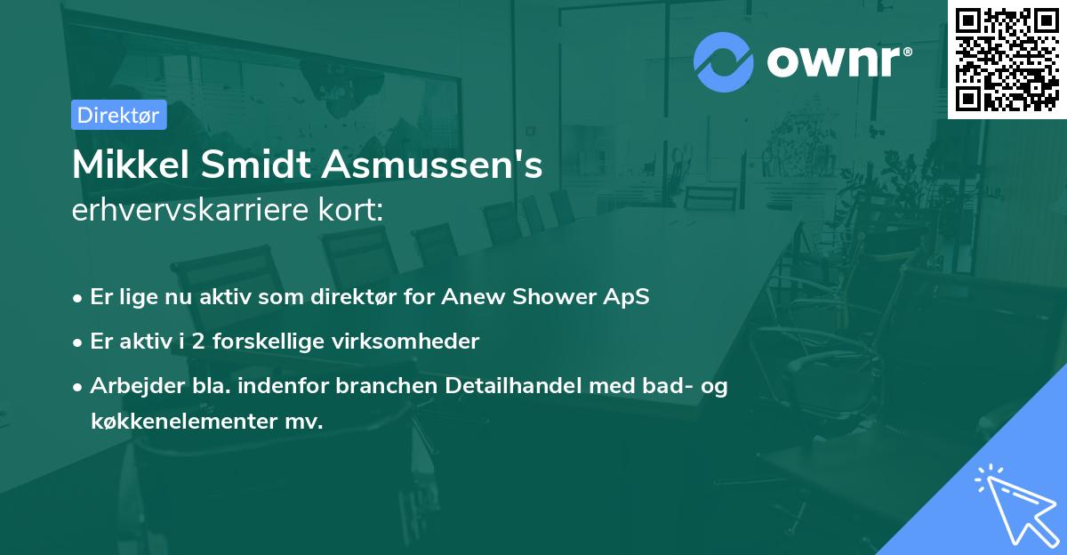 Mikkel Smidt Asmussen's erhvervskarriere kort