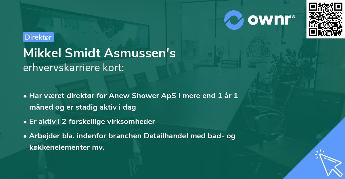 Mikkel Smidt Asmussen's erhvervskarriere kort