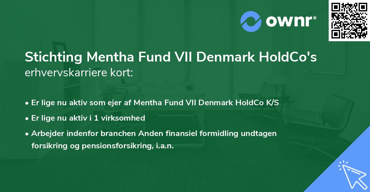 Stichting Mentha Fund VII Denmark HoldCo's erhvervskarriere kort