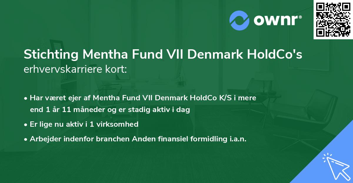 Stichting Mentha Fund VII Denmark HoldCo's erhvervskarriere kort