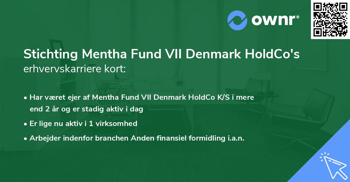 Stichting Mentha Fund VII Denmark HoldCo's erhvervskarriere kort