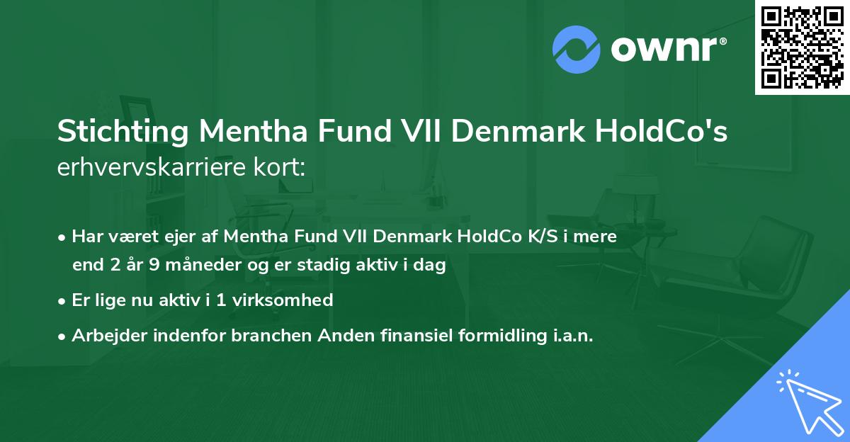Stichting Mentha Fund VII Denmark HoldCo's erhvervskarriere kort