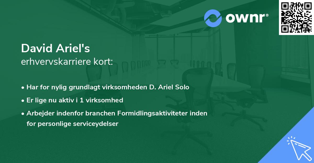 David Ariel's erhvervskarriere kort