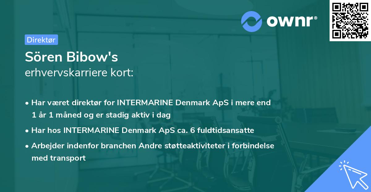 Sören Bibow's erhvervskarriere kort