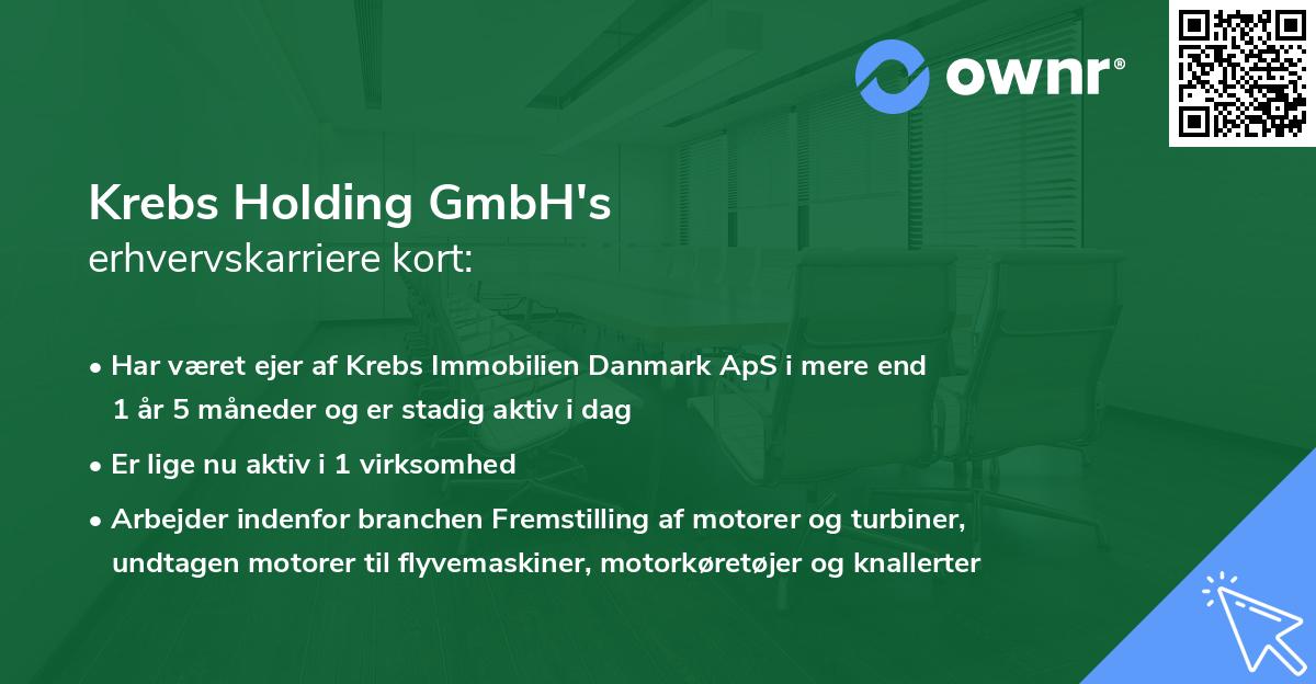 Krebs Holding GmbH's erhvervskarriere kort