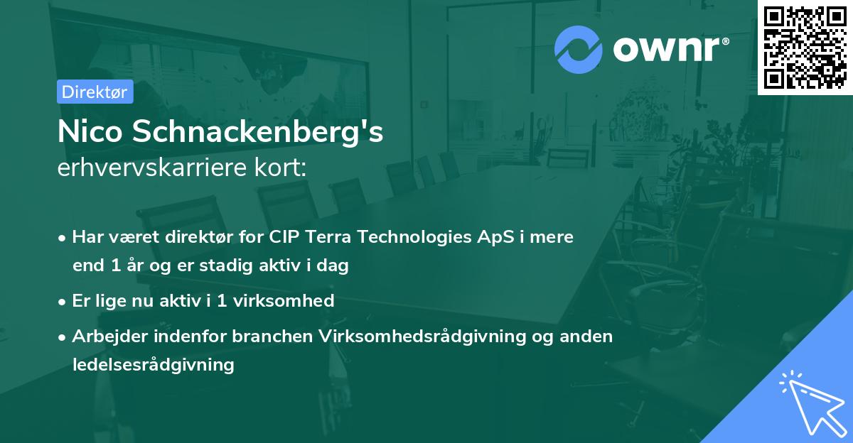 Nico Schnackenberg's erhvervskarriere kort