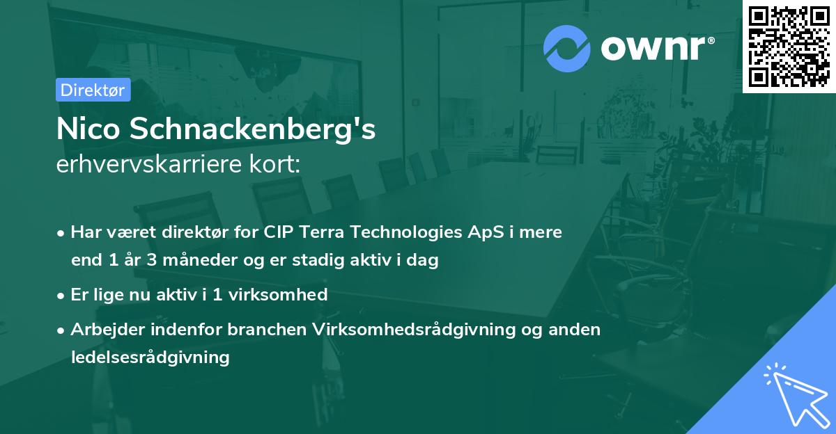 Nico Schnackenberg's erhvervskarriere kort
