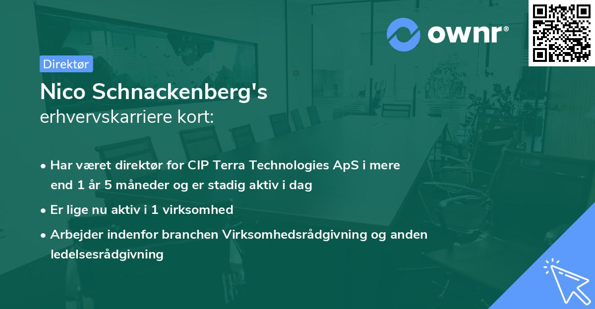 Nico Schnackenberg's erhvervskarriere kort