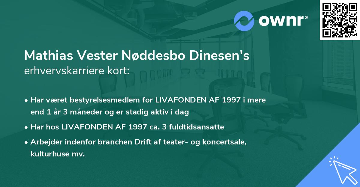 Mathias Vester Nøddesbo Dinesen's erhvervskarriere kort