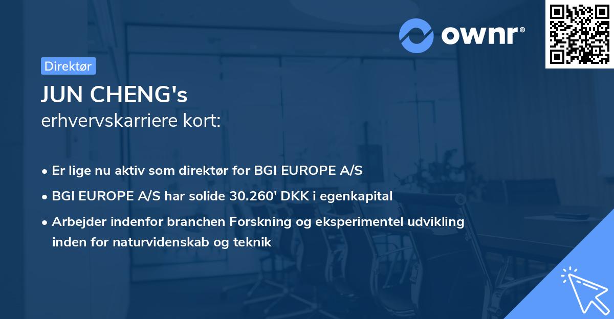 JUN CHENG's erhvervskarriere kort