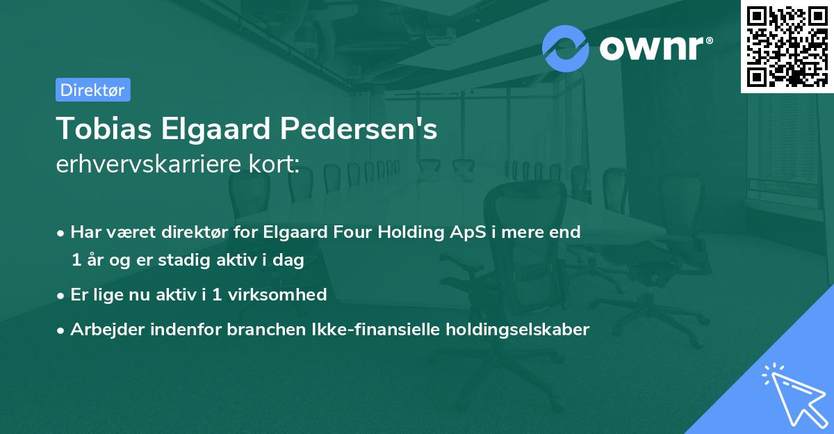 Tobias Elgaard Pedersen's erhvervskarriere kort