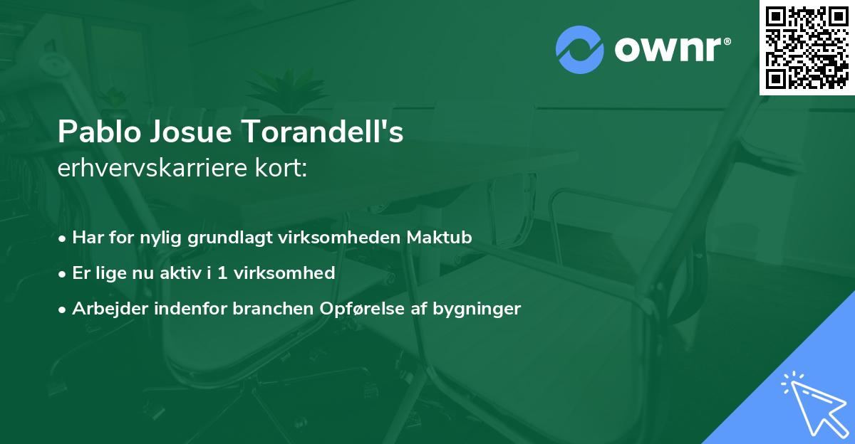 Pablo Josue Torandell's erhvervskarriere kort