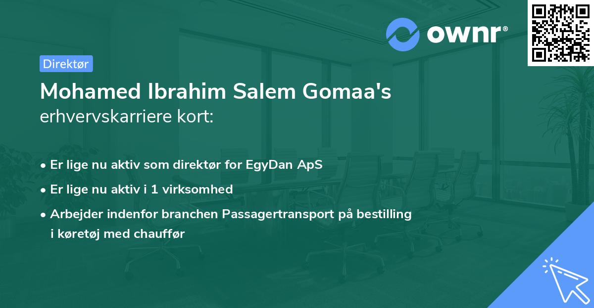 Mohamed Ibrahim Salem Gomaa's erhvervskarriere kort