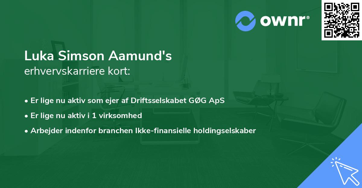 Luka Simson Aamund's erhvervskarriere kort