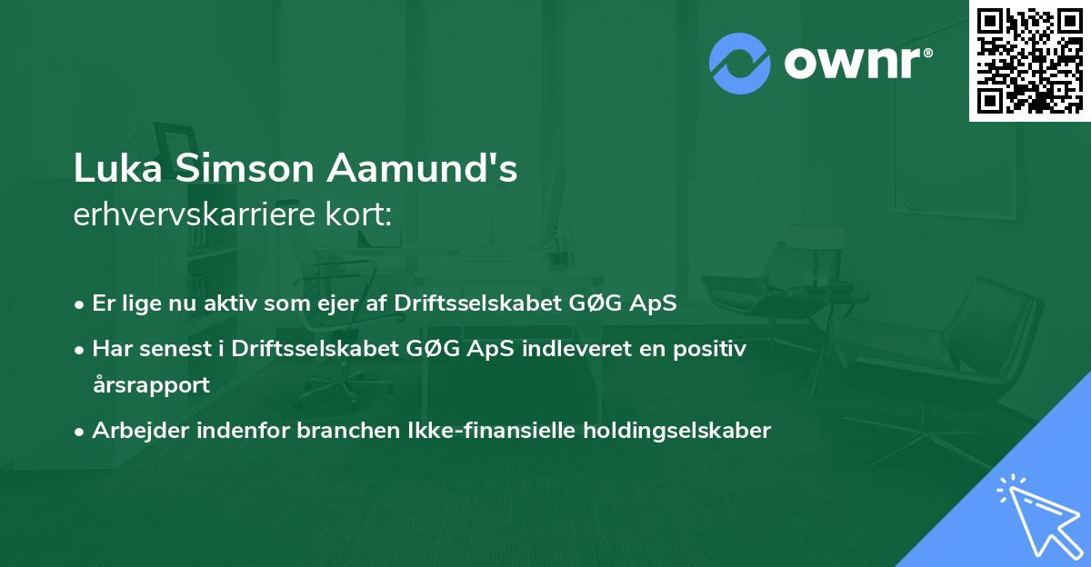 Luka Simson Aamund's erhvervskarriere kort