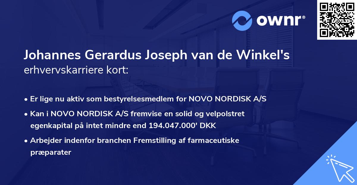 Johannes Gerardus Joseph van de Winkel's erhvervskarriere kort