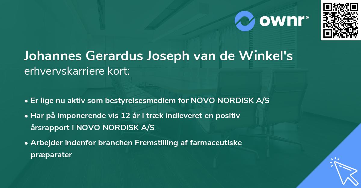 Johannes Gerardus Joseph van de Winkel's erhvervskarriere kort