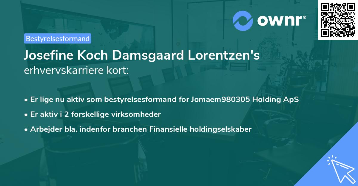 Josefine Koch Damsgaard Lorentzen's erhvervskarriere kort