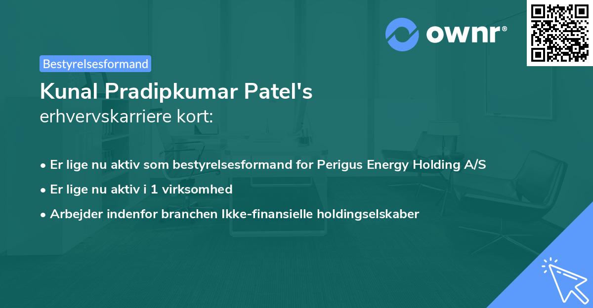 Kunal Pradipkumar Patel's erhvervskarriere kort