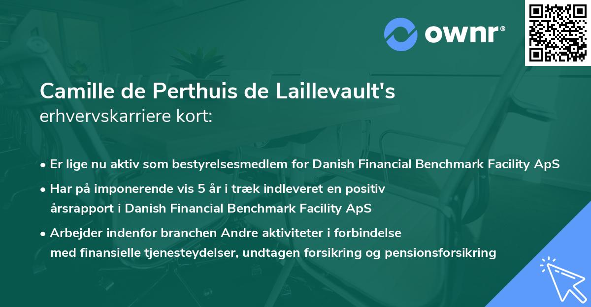 Camille de Perthuis de Laillevault's erhvervskarriere kort