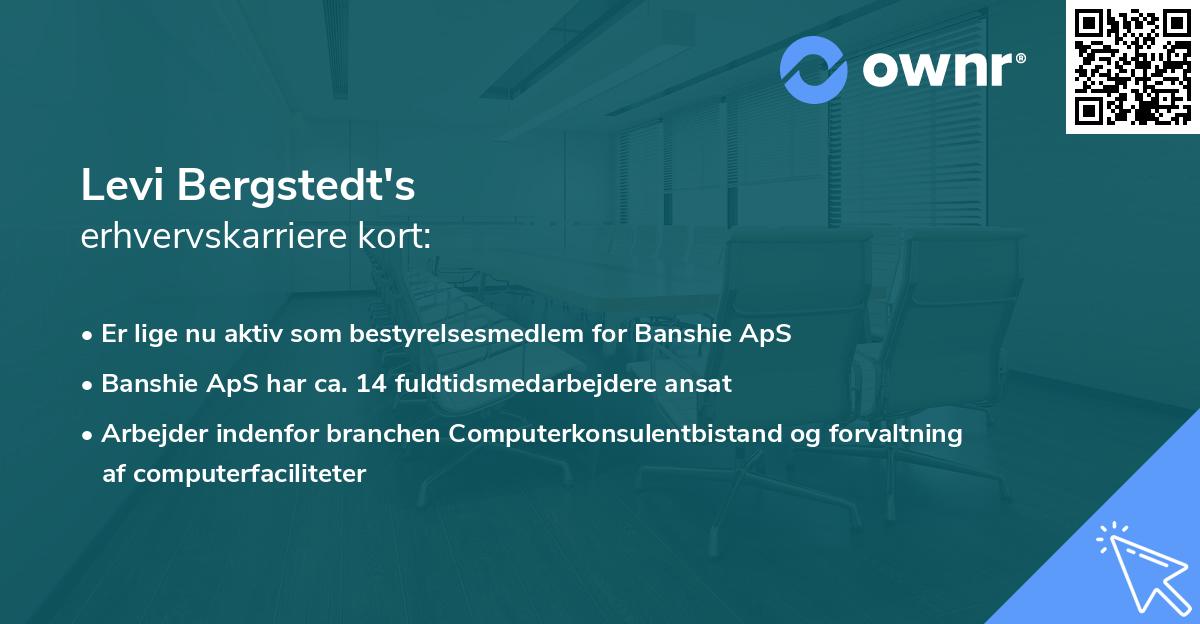 Levi Bergstedt's erhvervskarriere kort