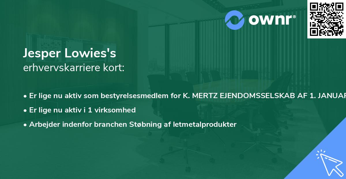Jesper Lowies's erhvervskarriere kort