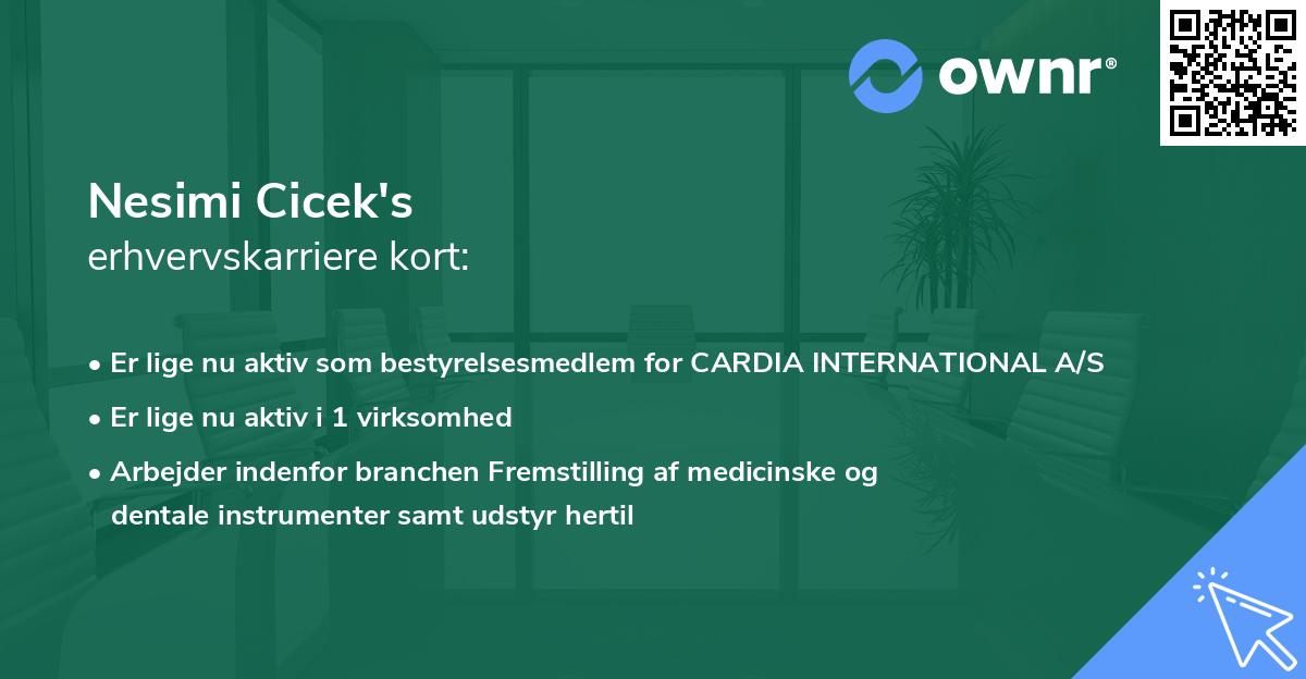 Nesimi Cicek's erhvervskarriere kort