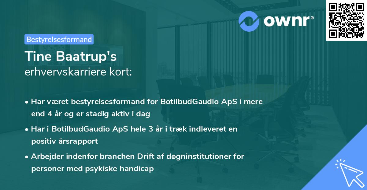 Tine Baatrup's erhvervskarriere kort