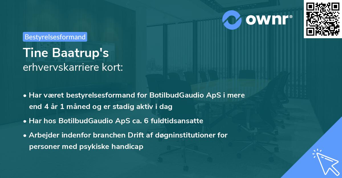 Tine Baatrup's erhvervskarriere kort