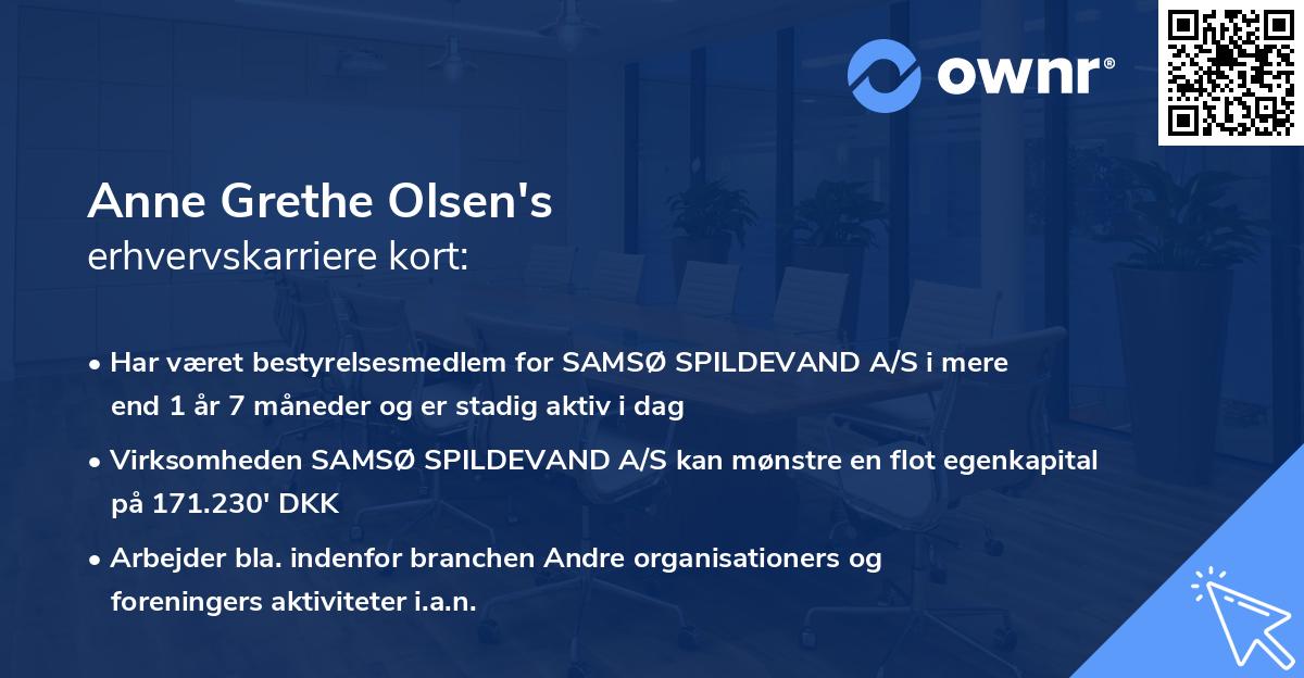 Anne Grethe Olsen's erhvervskarriere kort