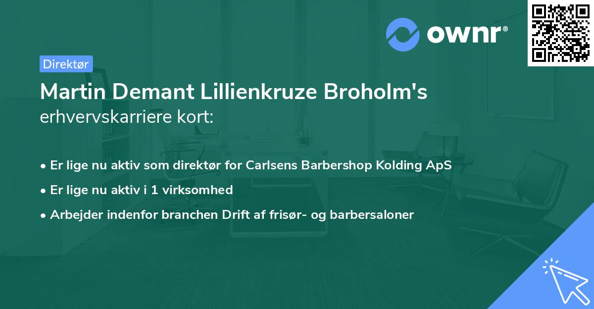Martin Demant Lillienkruze Broholm's erhvervskarriere kort