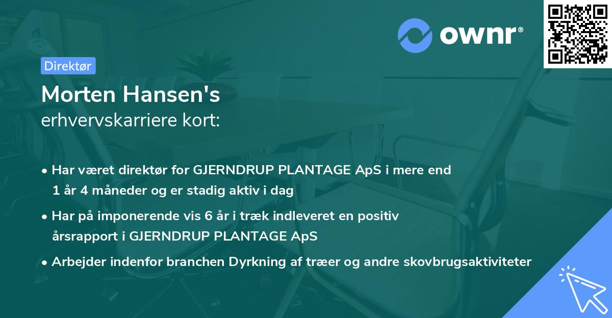 Morten Hansen's erhvervskarriere kort