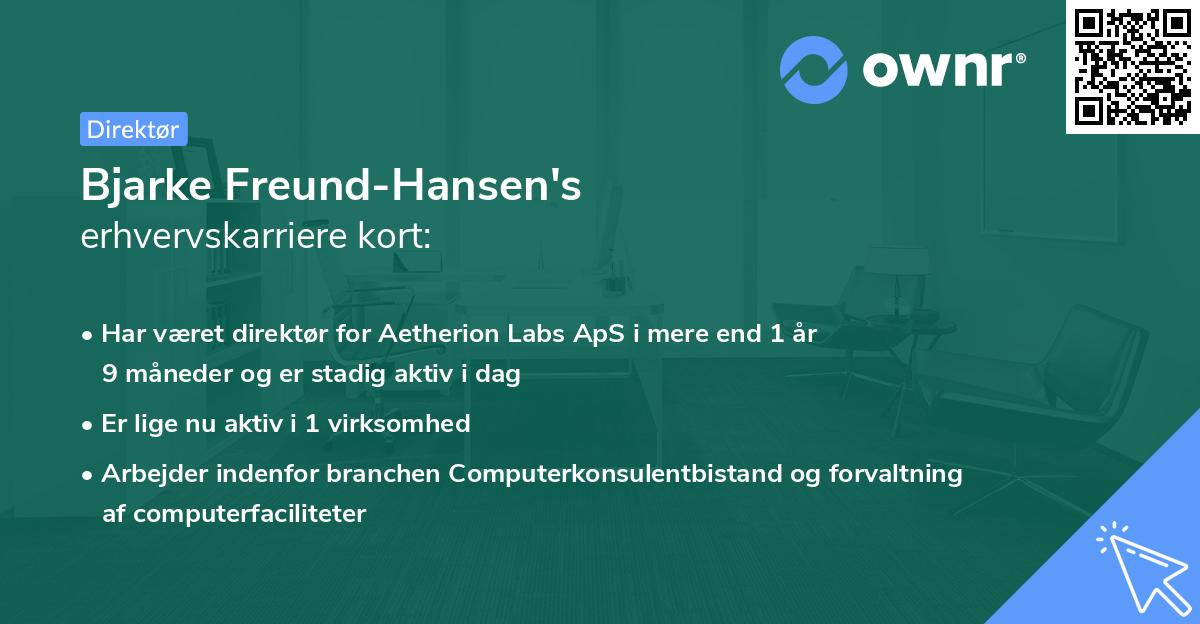 Bjarke Freund-Hansen's erhvervskarriere kort