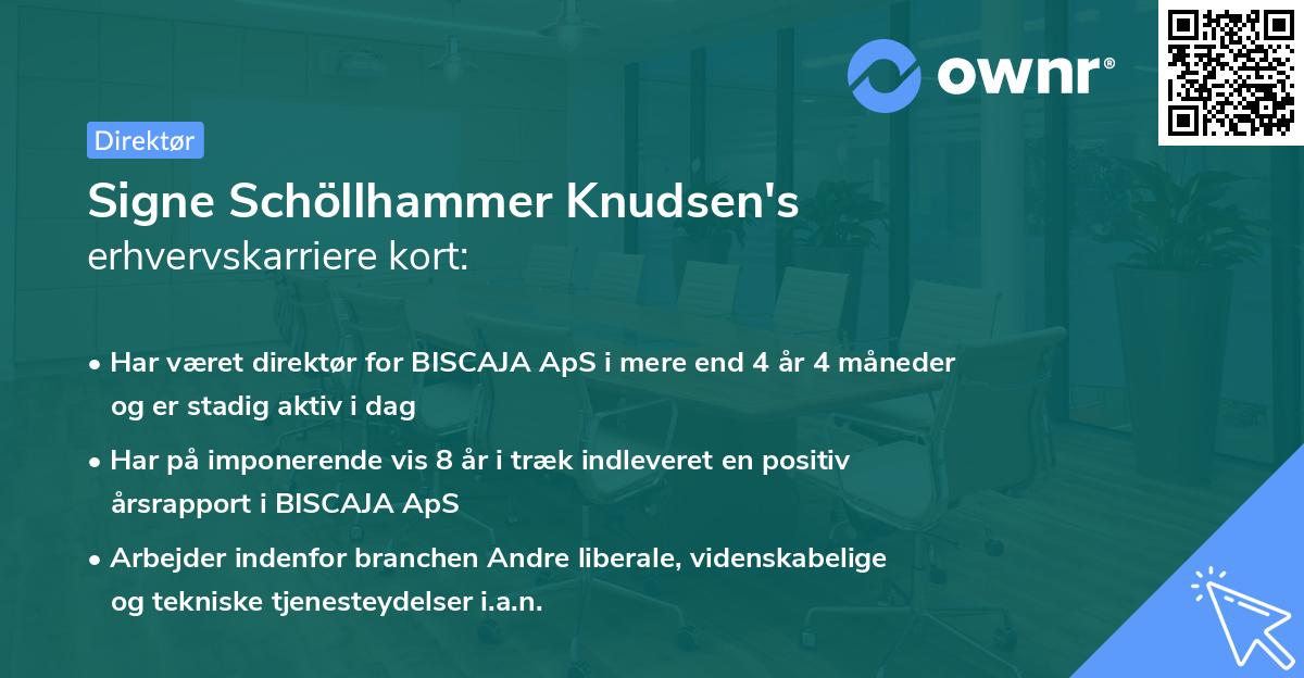 Signe Schöllhammer Knudsen's erhvervskarriere kort
