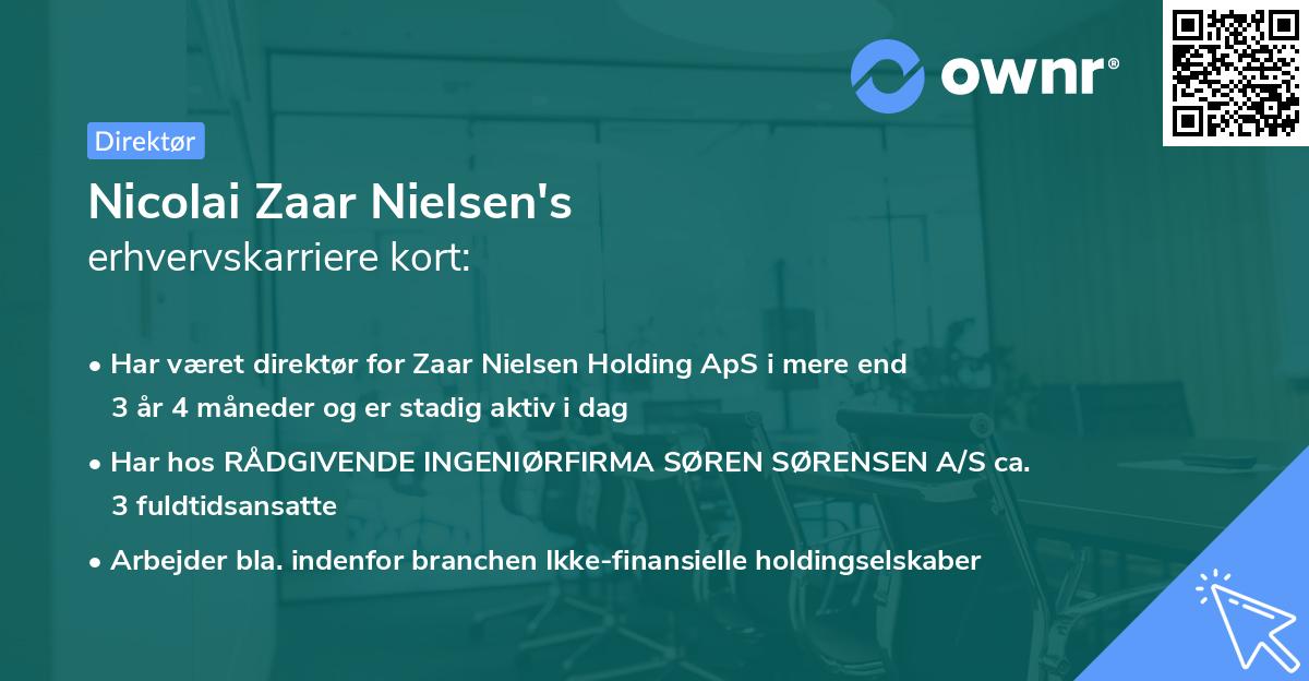 Nicolai Zaar Nielsen's erhvervskarriere kort