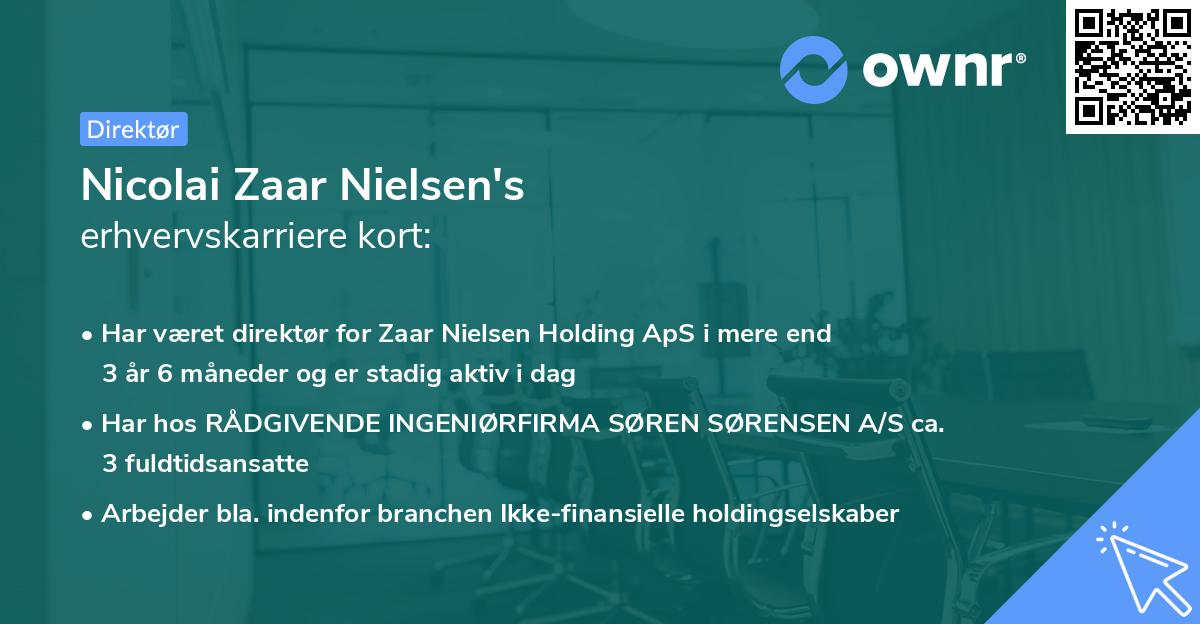 Nicolai Zaar Nielsen's erhvervskarriere kort