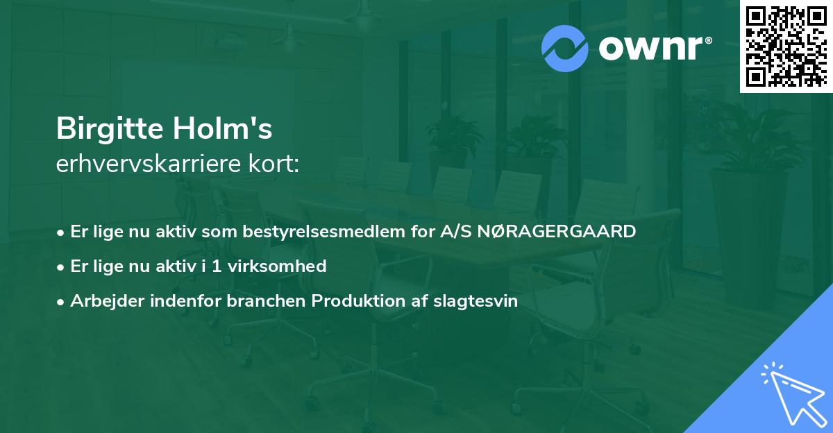Birgitte Holm's erhvervskarriere kort