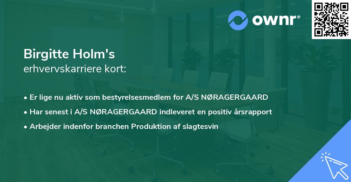 Birgitte Holm's erhvervskarriere kort