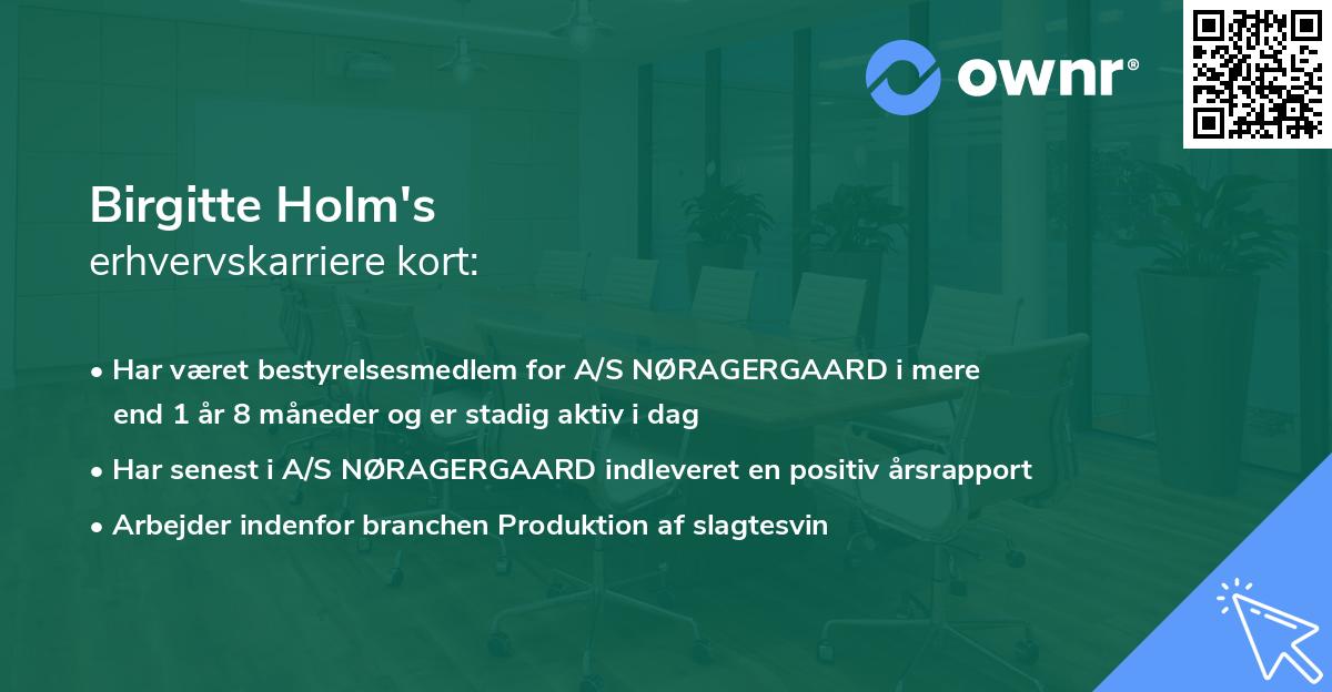 Birgitte Holm's erhvervskarriere kort