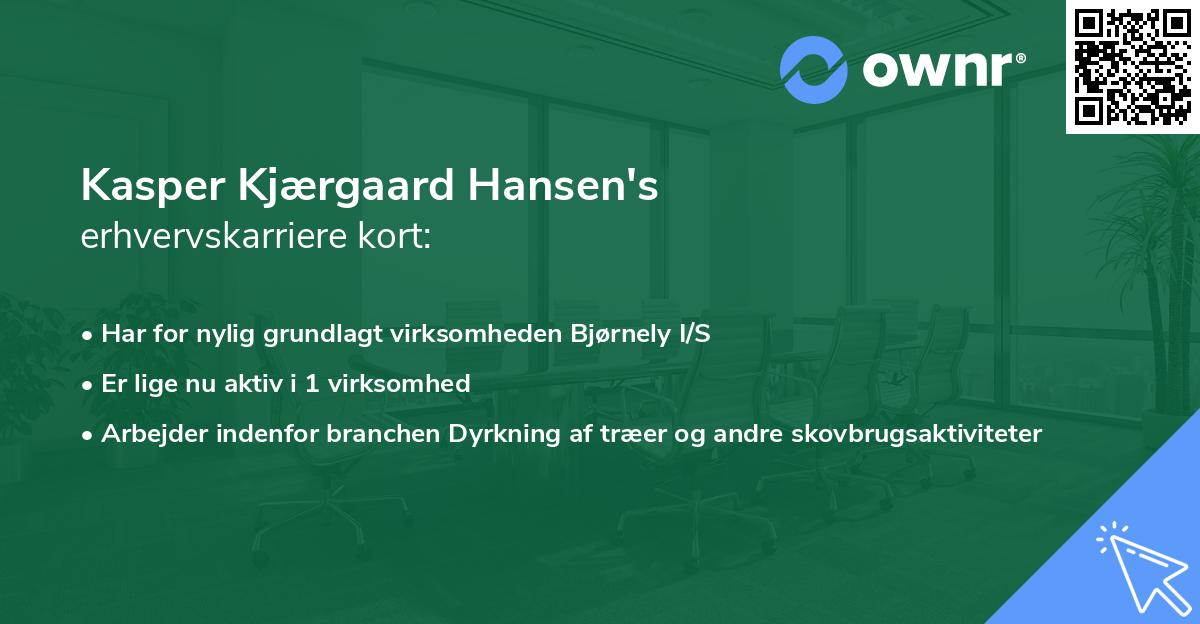 Kasper Kjærgaard Hansen's erhvervskarriere kort