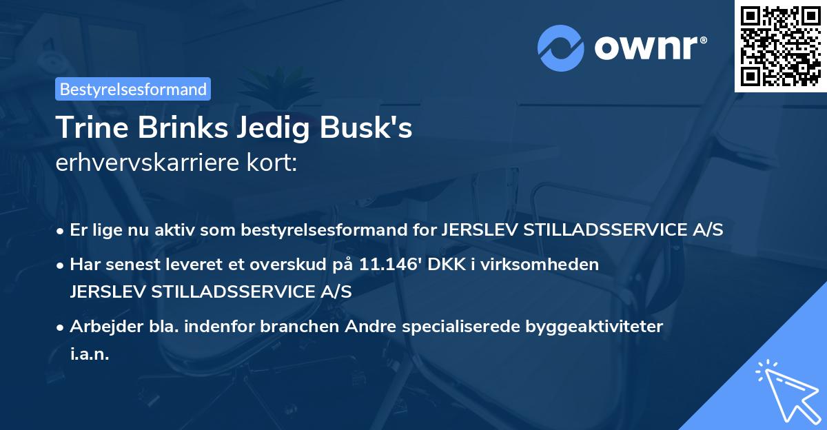 Trine Brinks Jedig Busk's erhvervskarriere kort