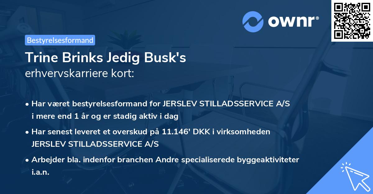 Trine Brinks Jedig Busk's erhvervskarriere kort
