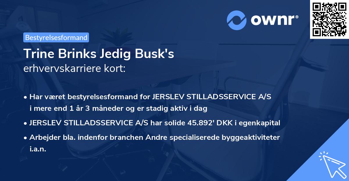 Trine Brinks Jedig Busk's erhvervskarriere kort