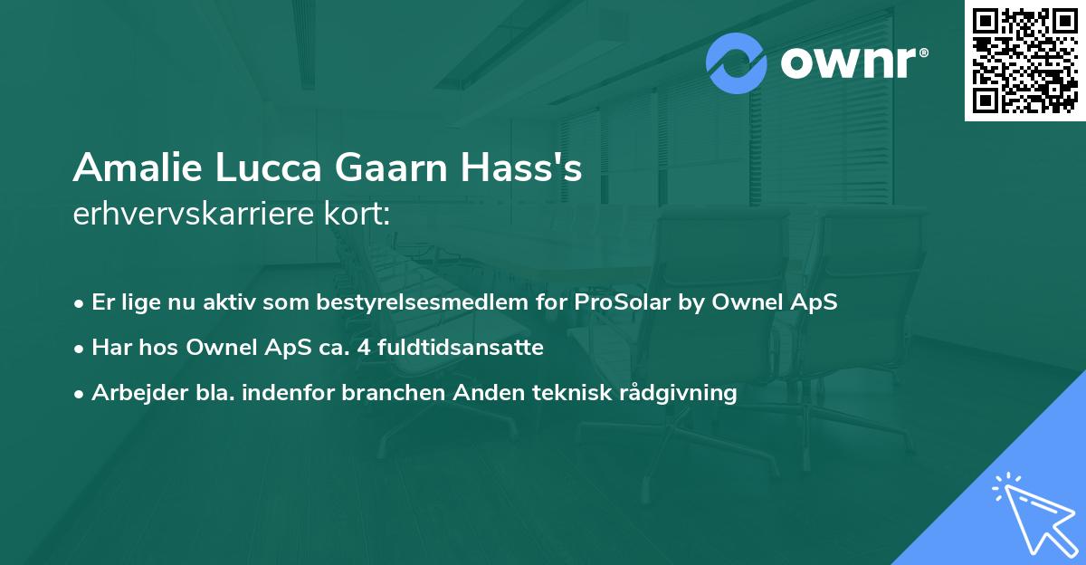 Amalie Lucca Gaarn Hass's erhvervskarriere kort