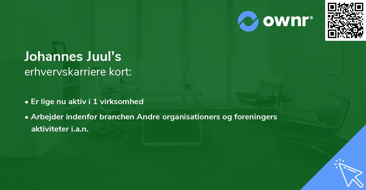 Johannes Juul's erhvervskarriere kort