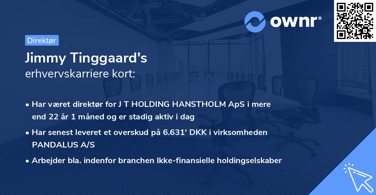 Jimmy Tinggaard's erhvervskarriere kort