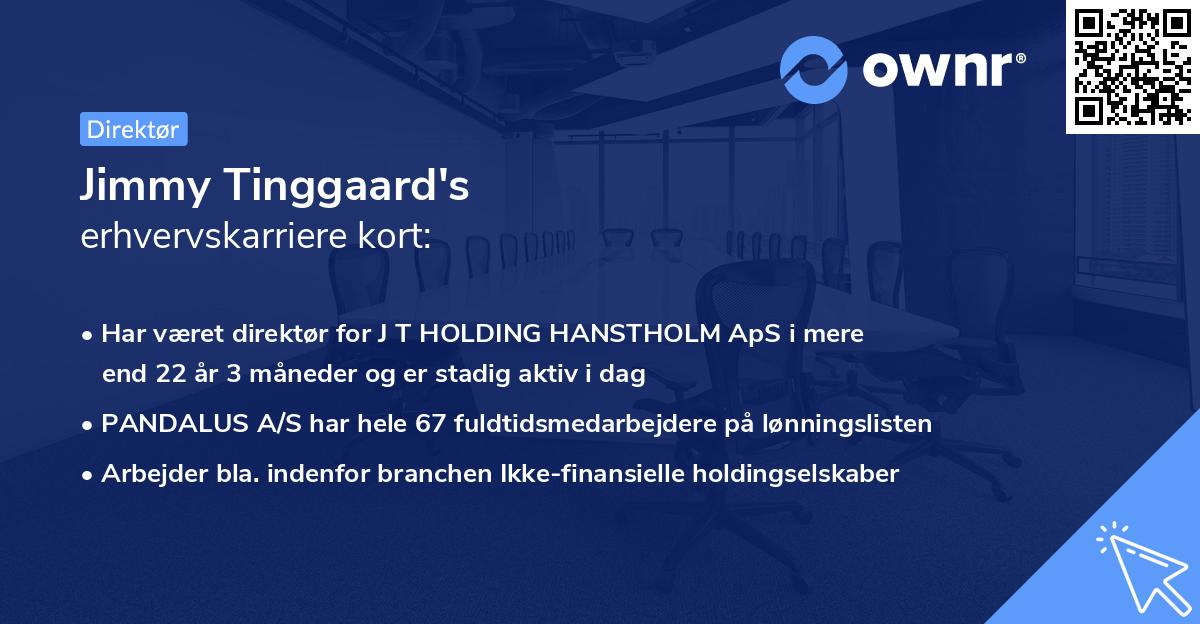 Jimmy Tinggaard's erhvervskarriere kort